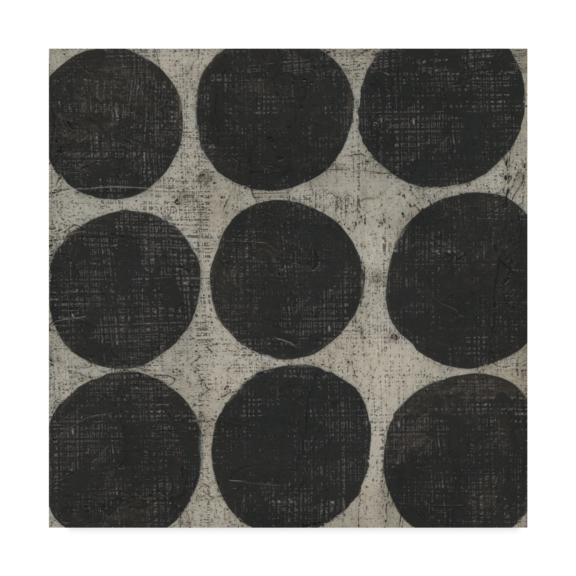 Trademark Fine Art 'Stone III' Canvas Art by Chariklia Zarris