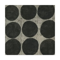 Trademark Fine Art 'Stone III' Canvas Art by Chariklia Zarris