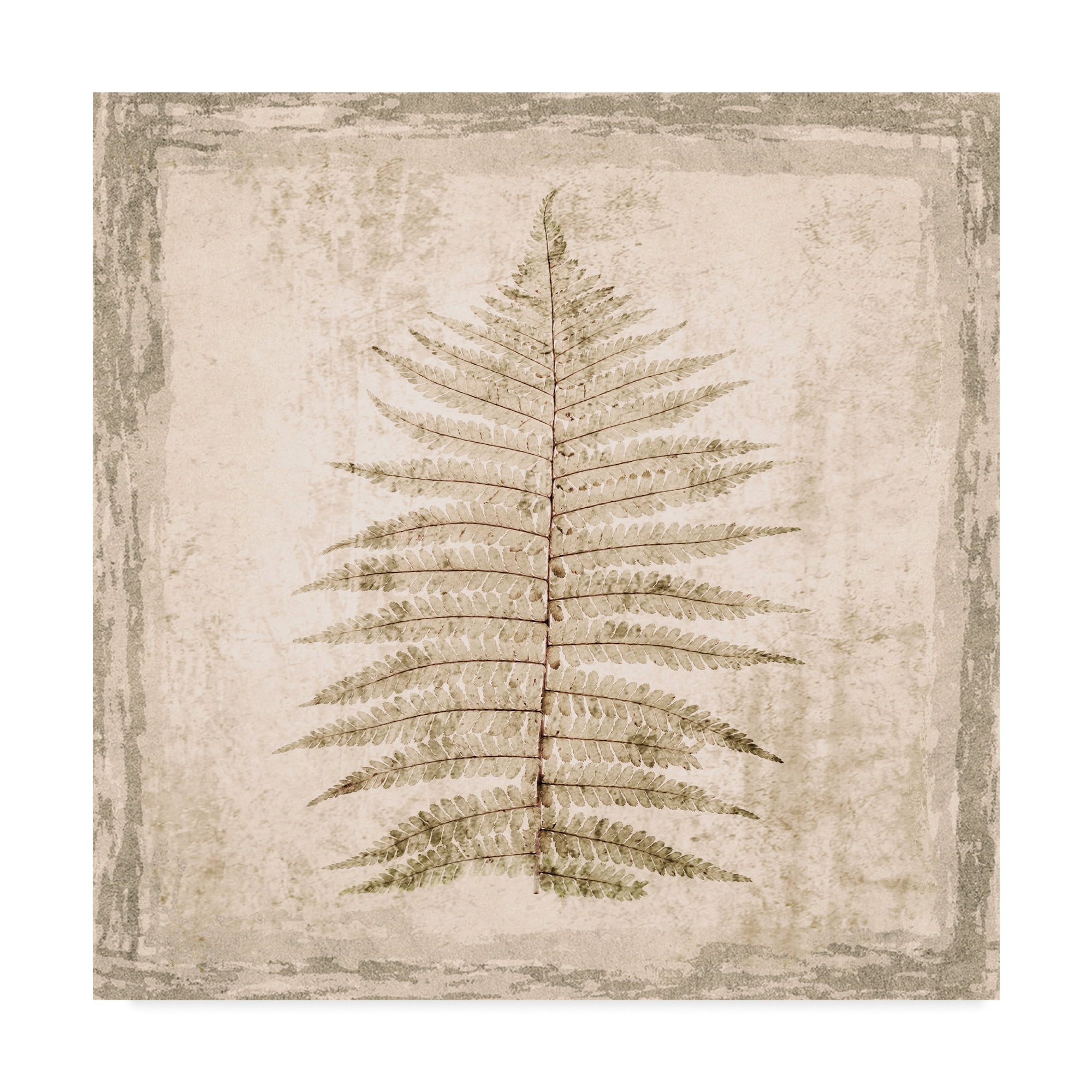 Trademark Fine Art 'Stone Leaf I' Canvas Art by Irena Orlov