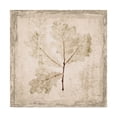 thumbnail image 1 of Trademark Fine Art 'Stone Leaf III' Canvas Art by Irena Orlov, 1 of 4