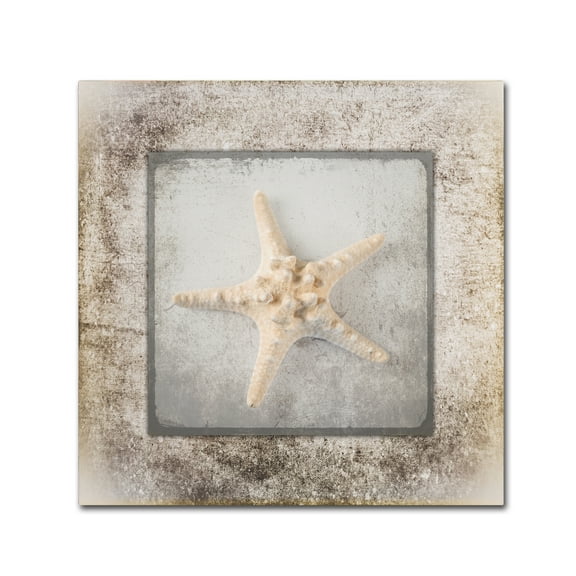 Trademark Fine Art 'Stone Star 2' Canvas Art by LightBoxJournal