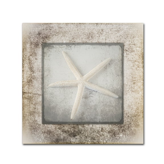 Trademark Fine Art 'Stone Star 3' Canvas Art by LightBoxJournal