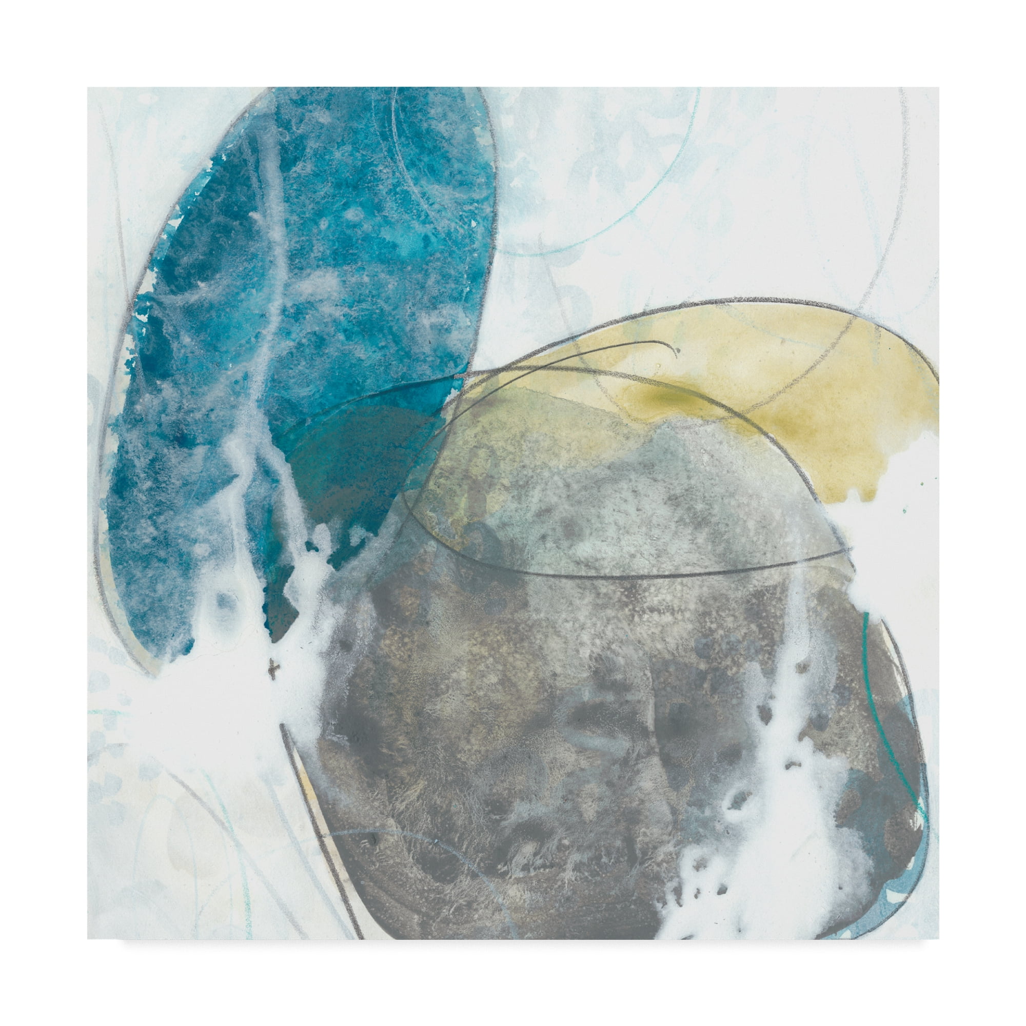 Trademark Fine Art 'Stone Sweep II' Canvas Art by June Erica Vess