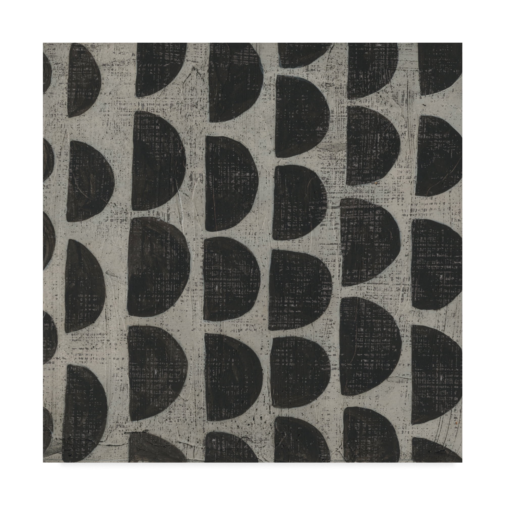 Trademark Fine Art 'Stone V' Canvas Art by Chariklia Zarris