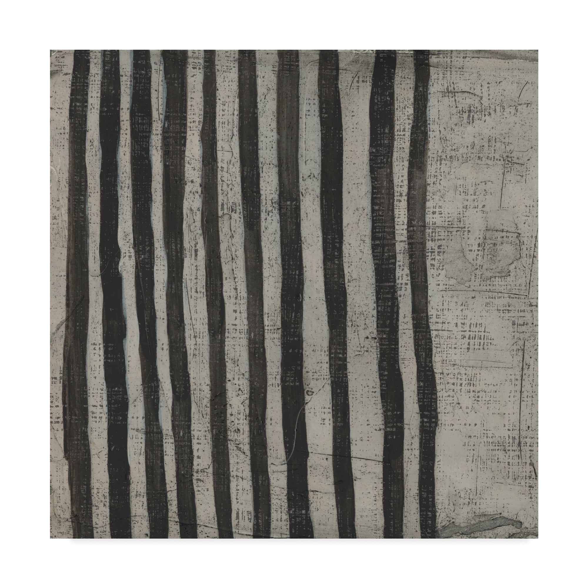 Trademark Fine Art 'Stone VII' Canvas Art by Chariklia Zarris