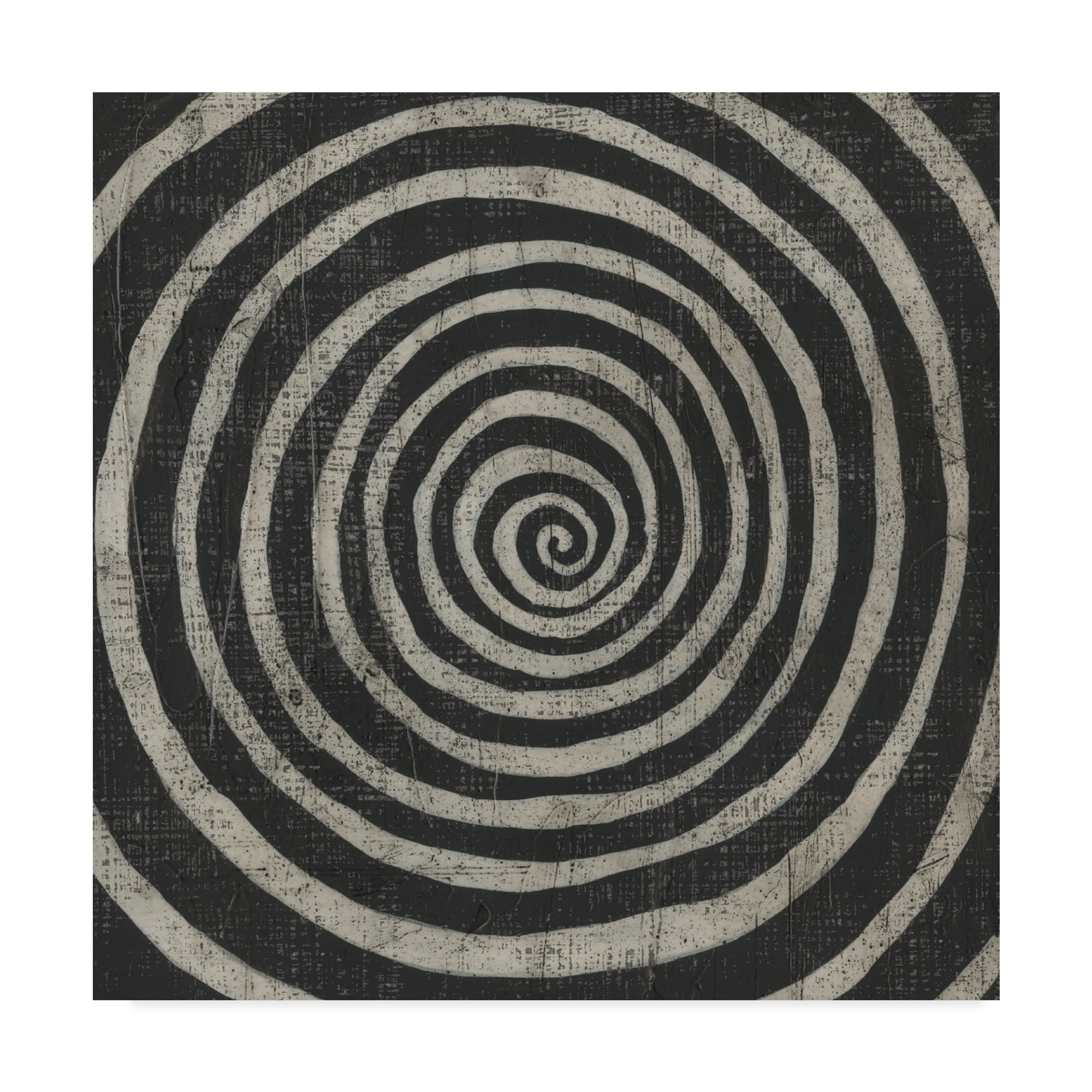 Trademark Fine Art 'Stone VIII' Canvas Art by Chariklia Zarris