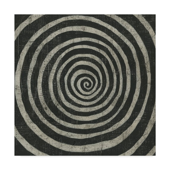 Trademark Fine Art 'Stone VIII' Canvas Art by Chariklia Zarris