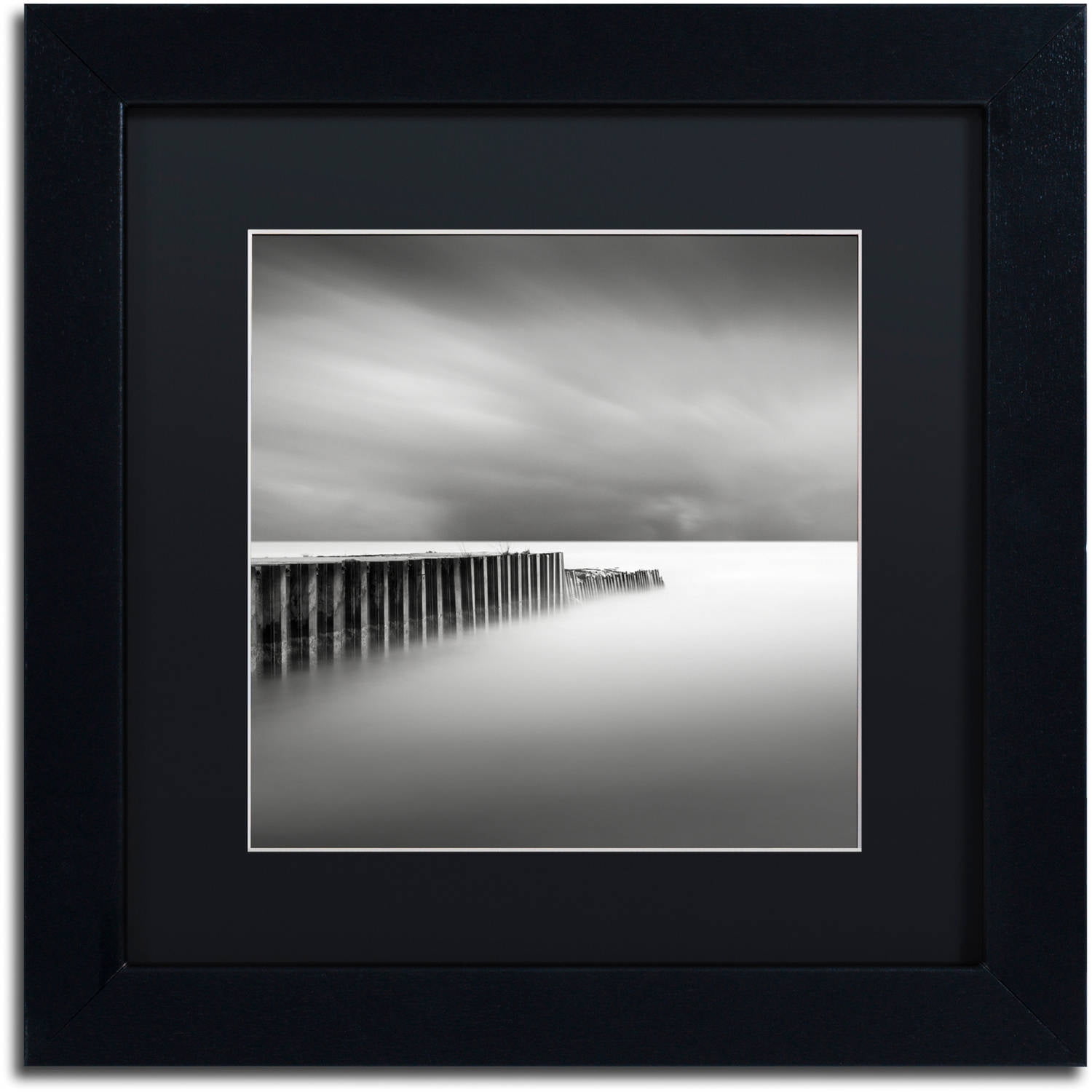 Trademark Fine Art "Stormy" Canvas Art by Dave MacVicar, Black Matte, Black Frame