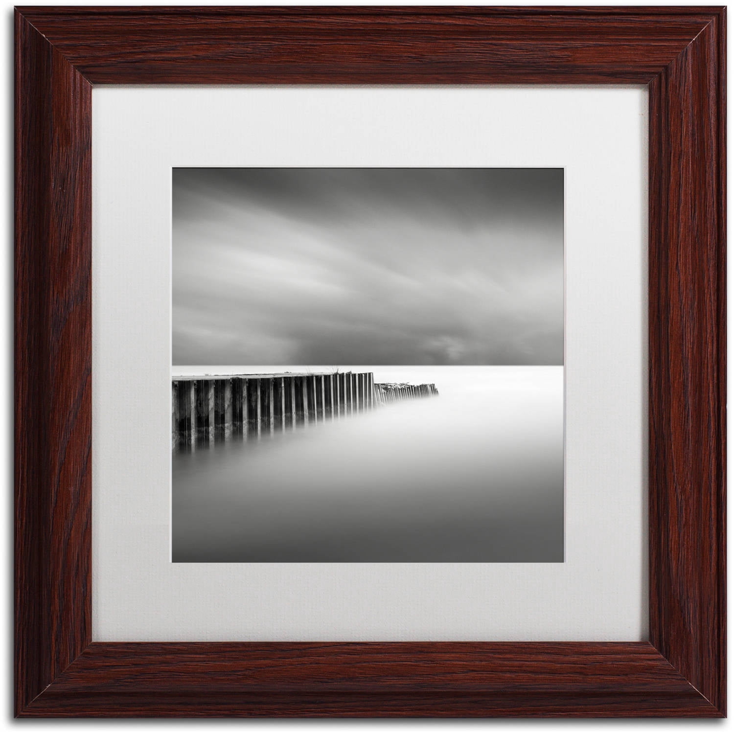 Trademark Fine Art "Stormy" Canvas Art by Dave MacVicar, White Matte, Wood Frame