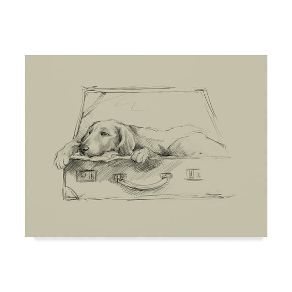 Trademark Fine Art 'Stowaway III' Canvas Art by Ethan Harper