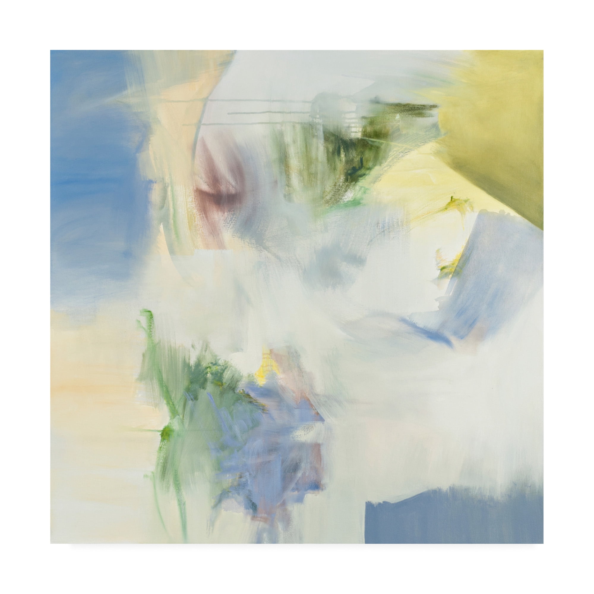 Trademark Fine Art 'Stream Fluting' Canvas Art by Emilia Aran