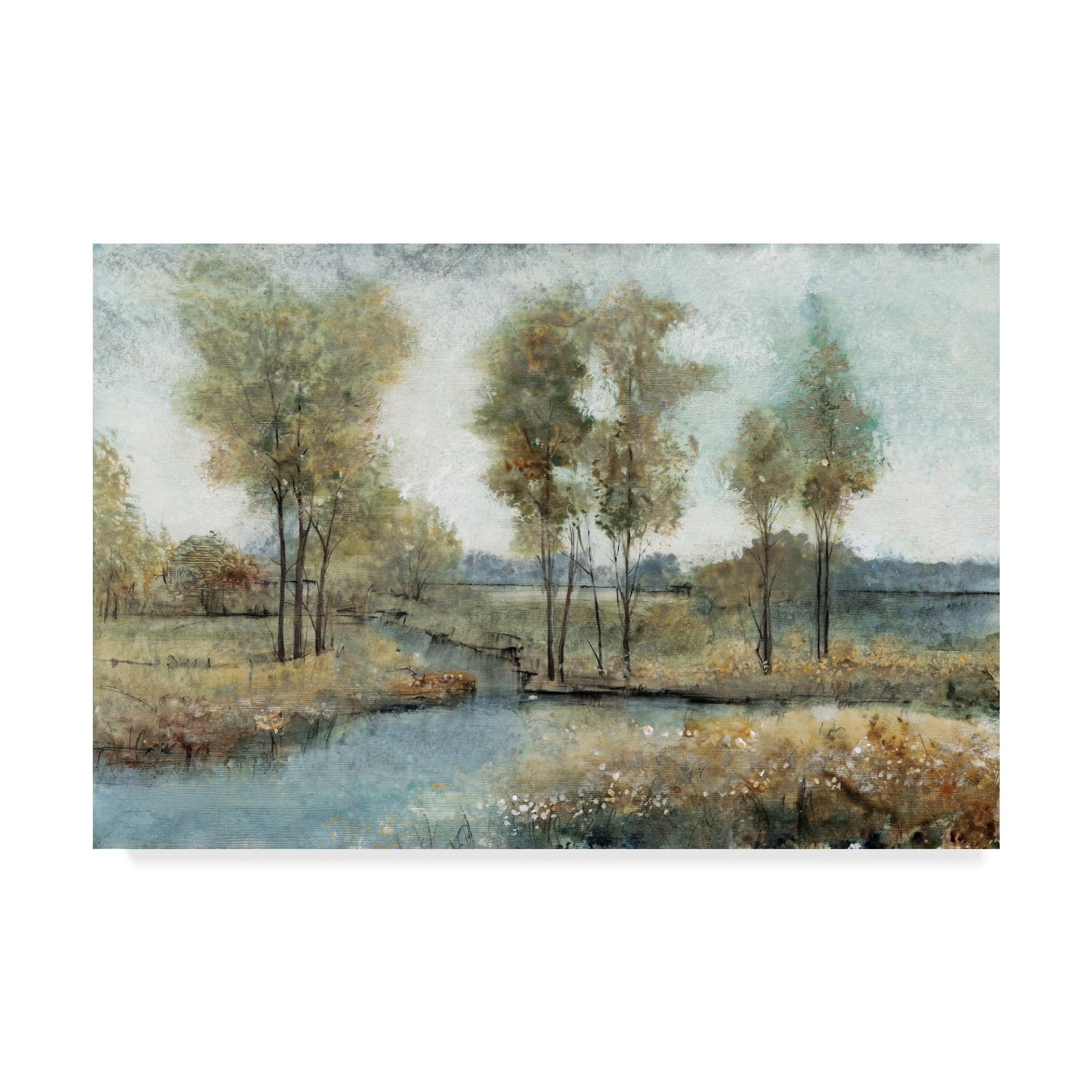 Trademark Fine Art 'Stream Side I' Canvas Art by Tim OToole