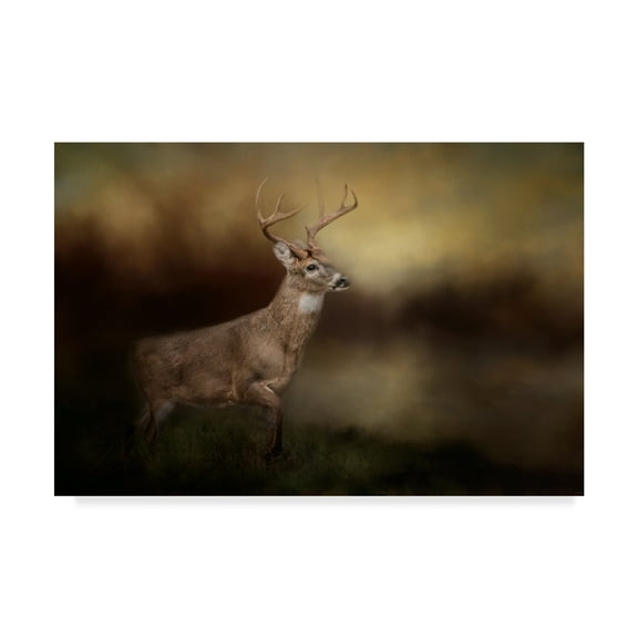 Trademark Fine Art 'Streamside Buck' Canvas Art by Jai Johnson