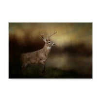 Trademark Fine Art 'Streamside Buck' Canvas Art by Jai Johnson