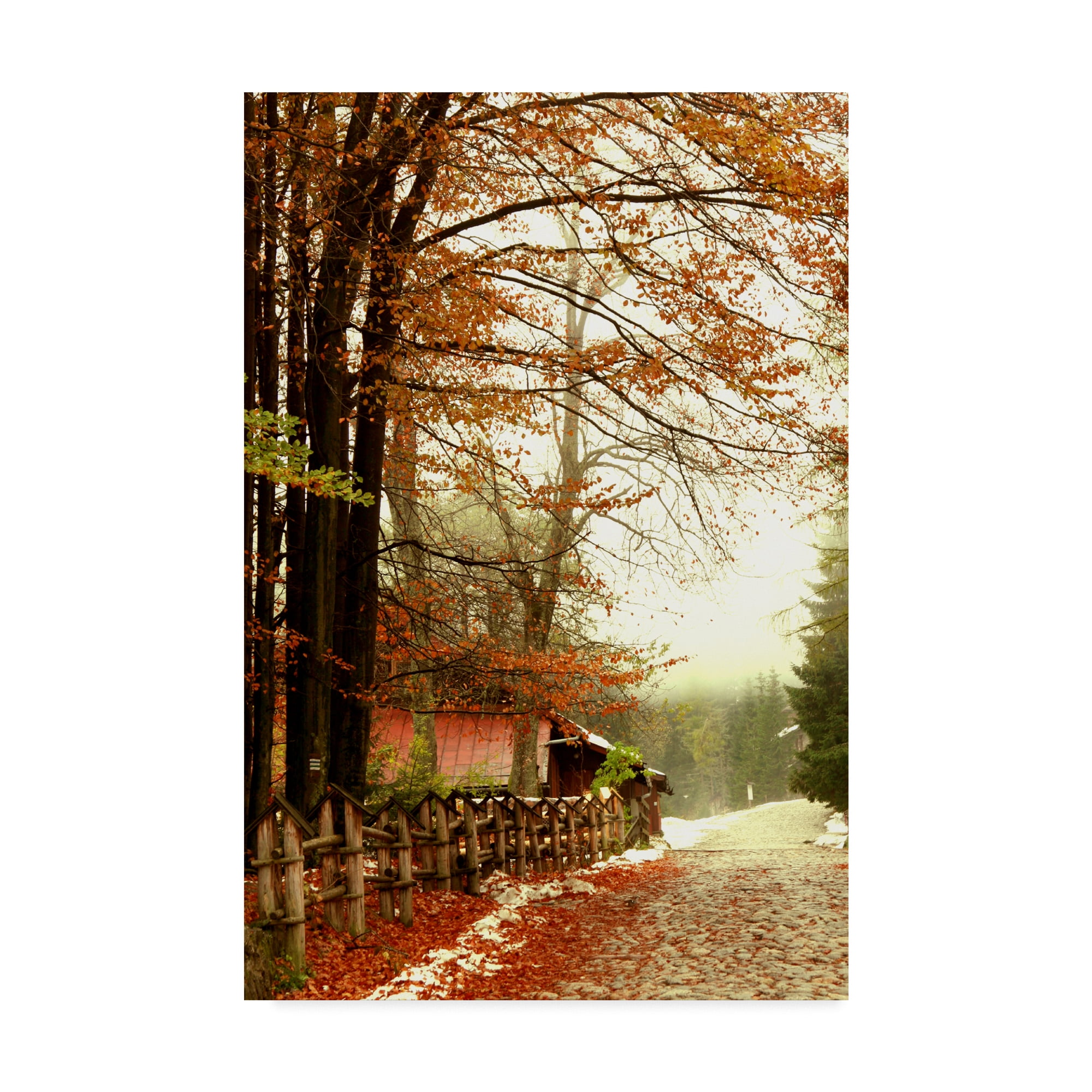 Street of Seasons Multicolor Landscape Canvas Art