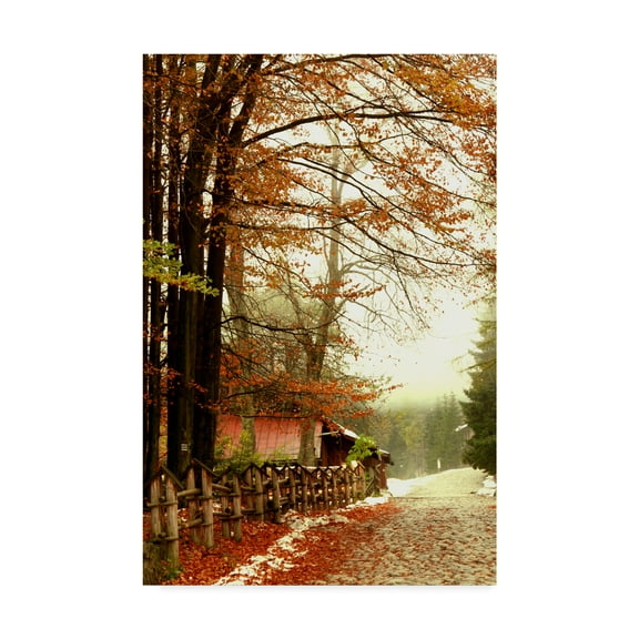 Trademark Fine Art 'Street Of Seasons' Canvas Art by Incredi