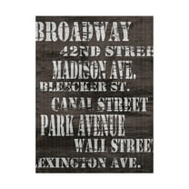 Trademark Fine Art 'Streets of New York I' Canvas Art by Andrea James