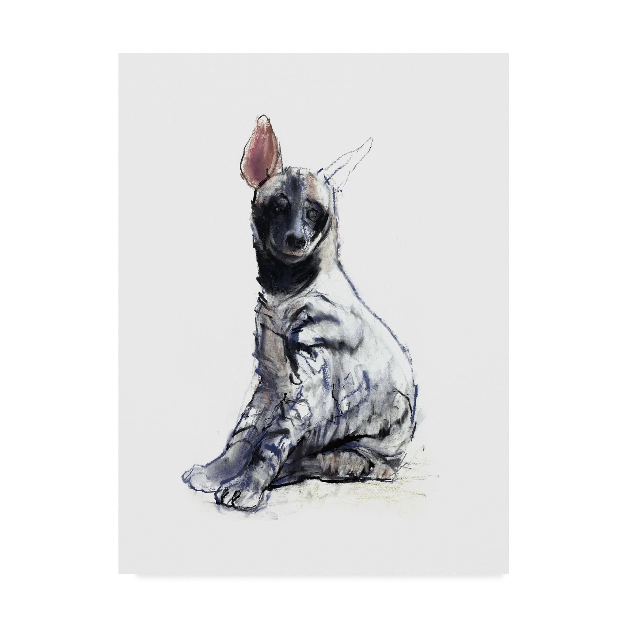 Trademark Fine Art 'Striped Hyena Pup Seated' Canvas Art by Mark Adlington