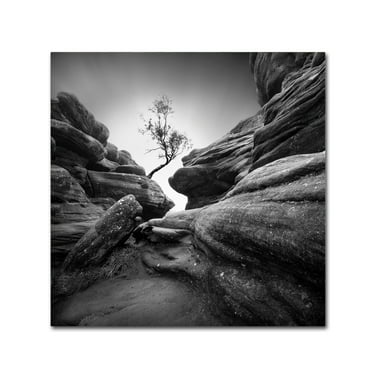 Trademark Fine Art 'Struggle' Canvas Art by Sainty
