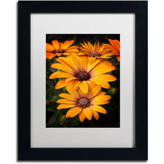 Trademark Fine Art "Stuck On You" Canvas Art by Philippe Sainte-Laudy, White Matte, Black Frame