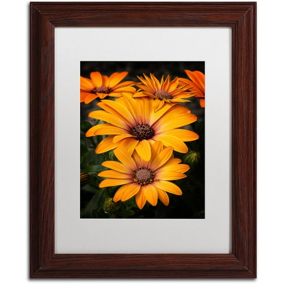 Trademark Fine Art "Stuck On You" Canvas Art by Philippe Sainte-Laudy, White Matte, Wood Frame