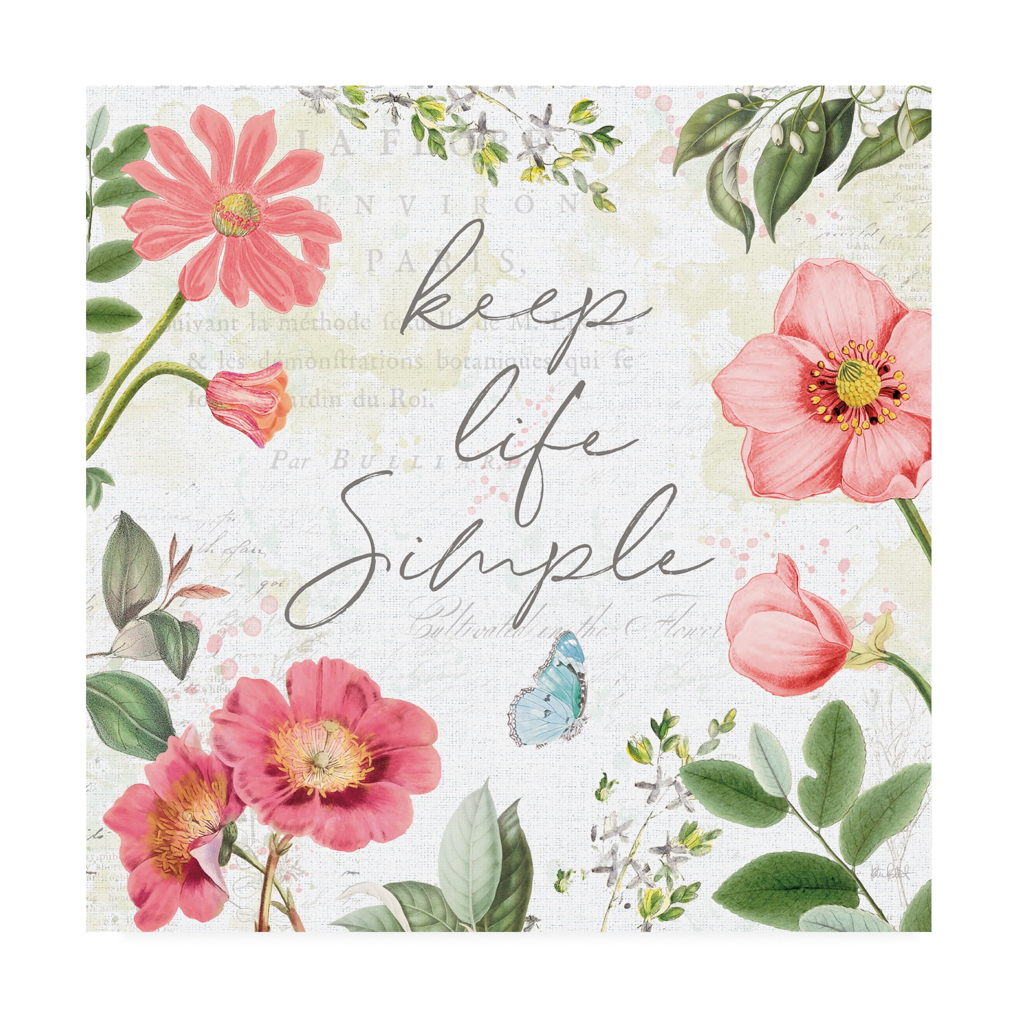 Trademark Fine Art 'Studio Botanicals IV' Canvas Art by Katie Pertiet