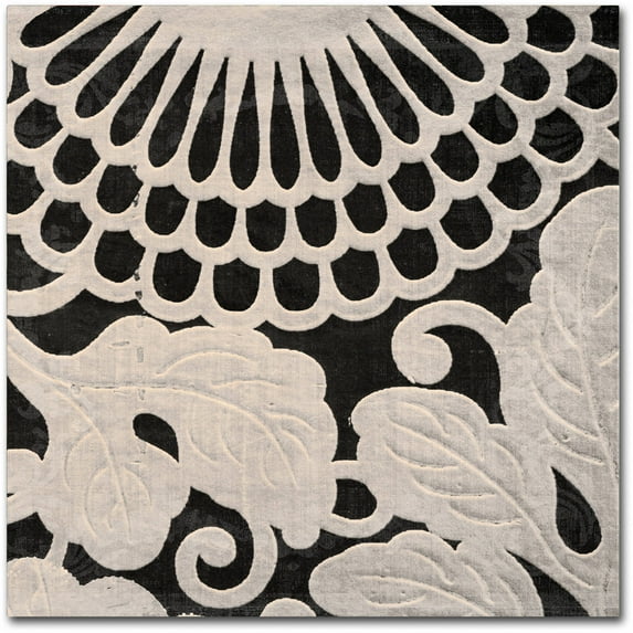 Trademark Fine Art "Stylesque IV" Canvas Art by Color Bakery