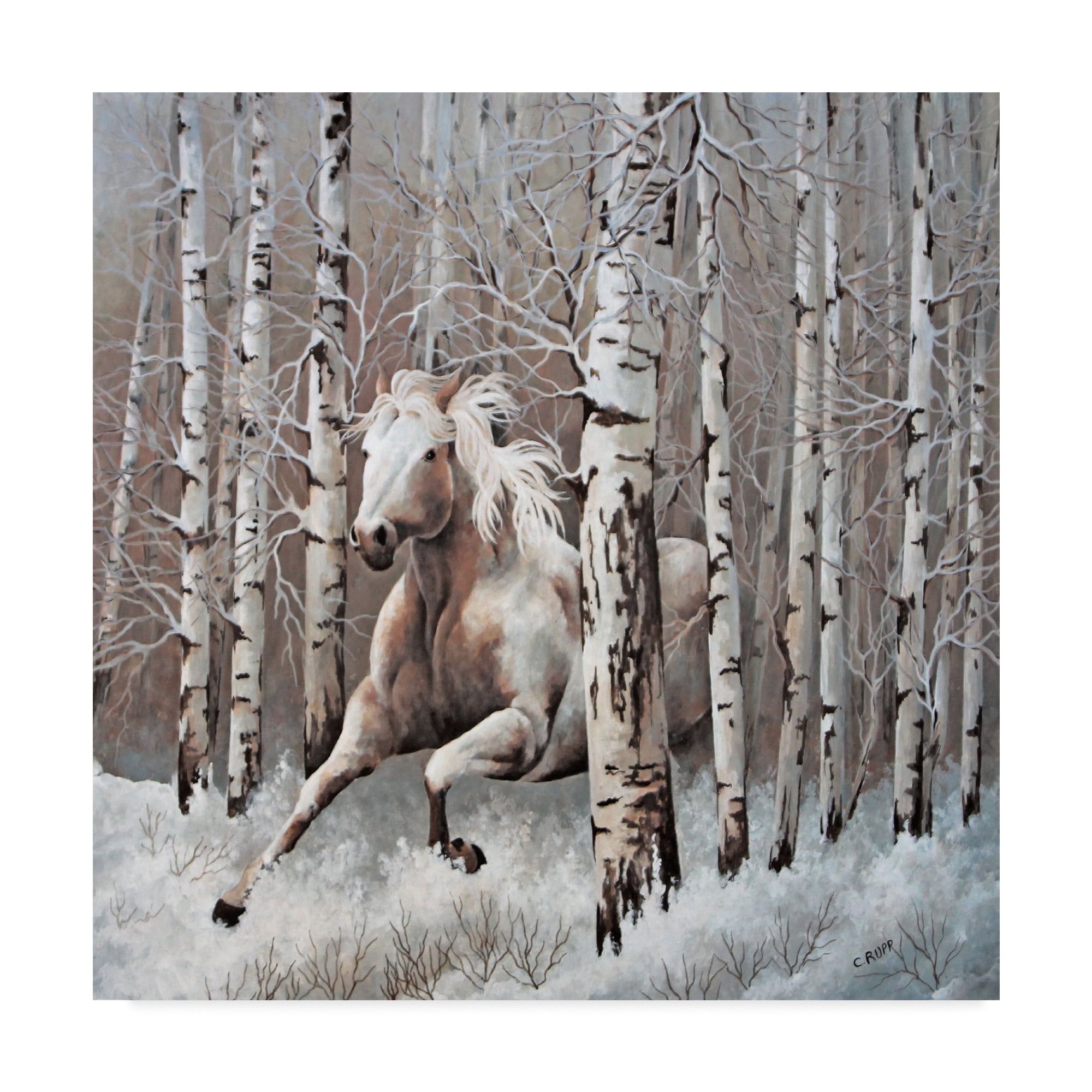 Trademark Fine Art 'Subtle Tones of Nature' Canvas Art by Carol J Rupp