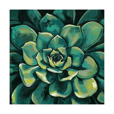 Trademark Fine Art 'Succulent Bloom I' Canvas Art by Megan Meagher