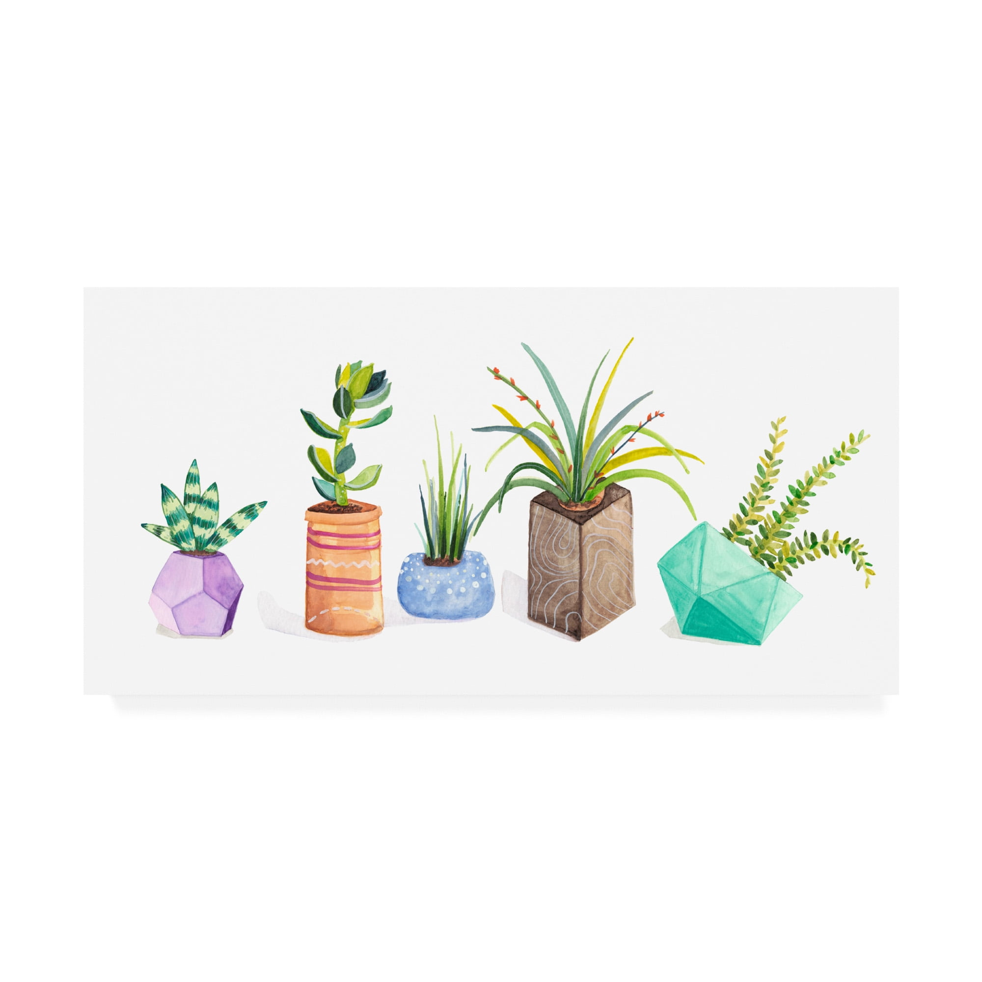 Trademark Fine Art 'Succulent Display I' Canvas Art by Rebekah Ewer