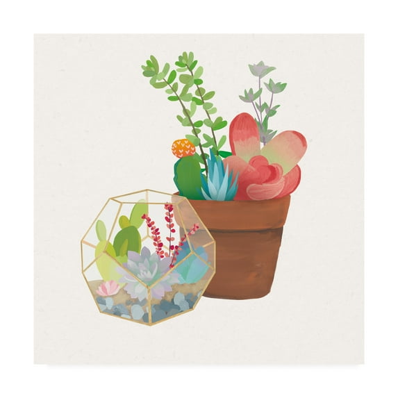 Trademark Fine Art 'Succulent Garden III' Canvas Art by Wild Apple Portfolio