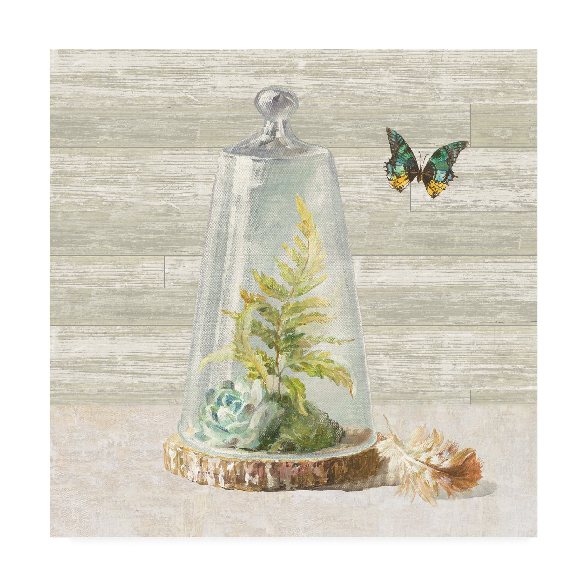 Trademark Fine Art 'Succulent Garden IV' Canvas Art by Danhui Nai