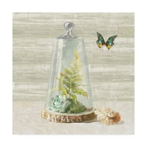 Trademark Fine Art 'Succulent Garden IV' Canvas Art by Danhui Nai