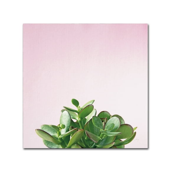 Trademark Fine Art 'Succulent Simplicity III on Pink' Canvas Art by Felicity Bradley