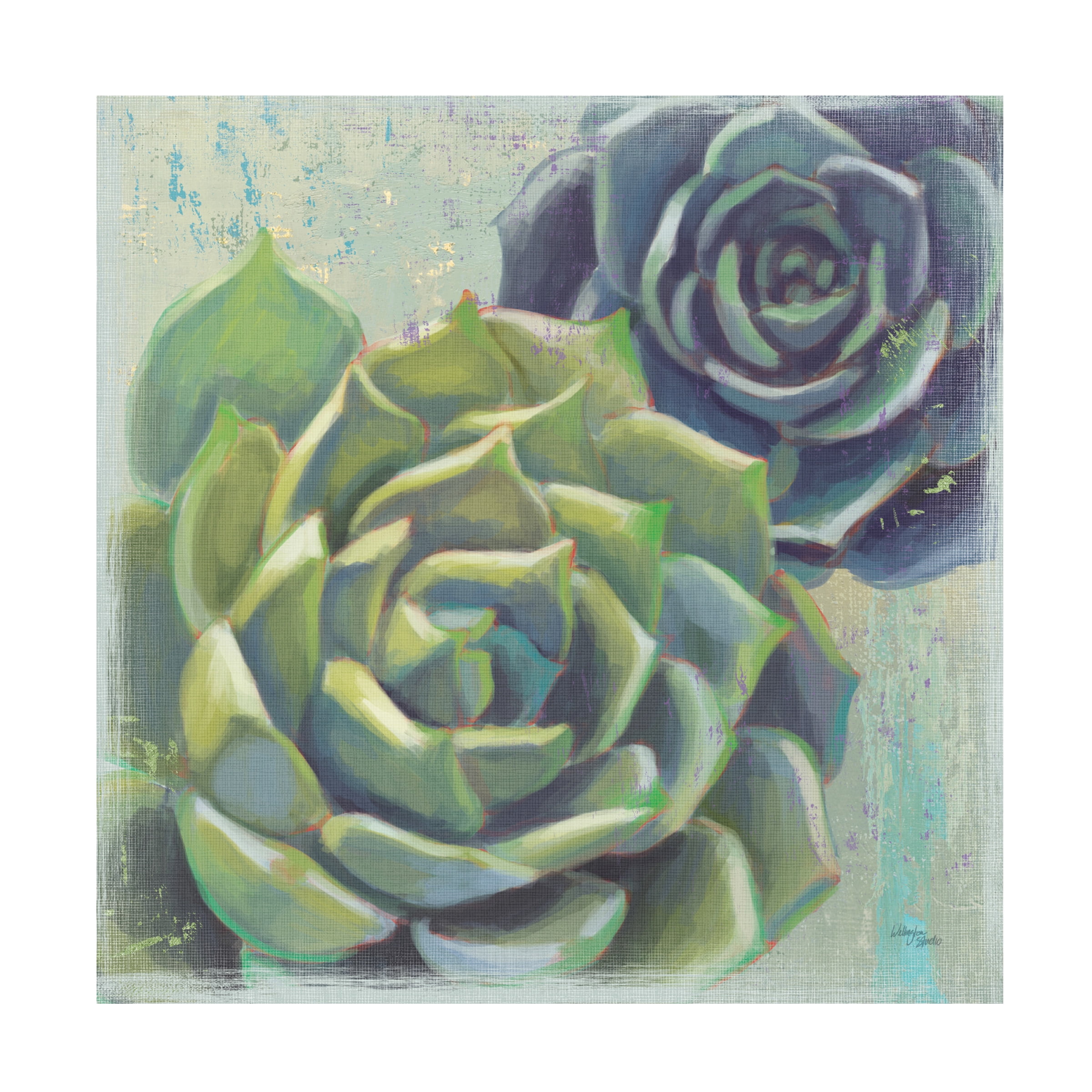 Trademark Fine Art 'Succulents I' Canvas Art by Wellington Studio