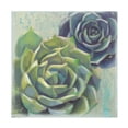 thumbnail image 1 of Trademark Fine Art 'Succulents I' Canvas Art by Wellington Studio, 1 of 4