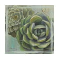 thumbnail image 1 of Trademark Fine Art 'Succulents II' Canvas Art by Wellington Studio, 1 of 3