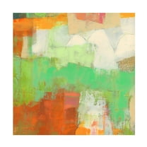 Trademark Fine Art Sue Jachimiec  Ayden I Canvas Wall Art