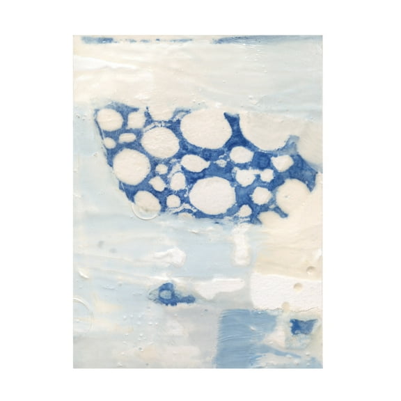 Trademark Fine Art Sue Jachimiec  Lido I Canvas Wall Art