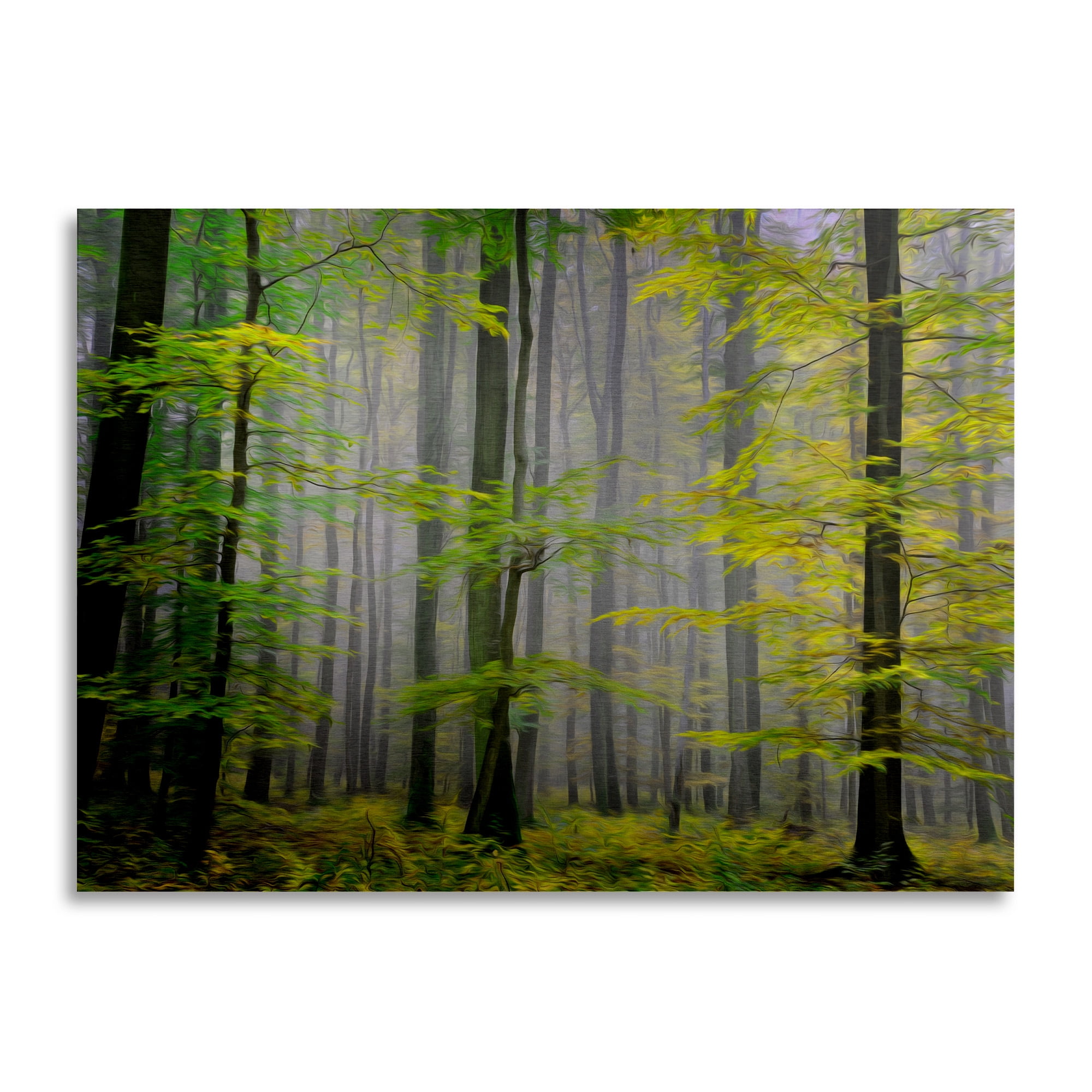 Trademark Fine Art 'Sugar Low' Brushed Aluminum Wall Art Art by Philippe Sainte-Laudy