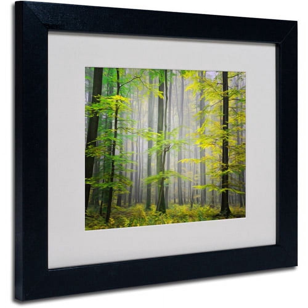 Trademark Fine Art "Sugar Low" Canvas Art by Philippe Sainte-Laudy, Black Frame