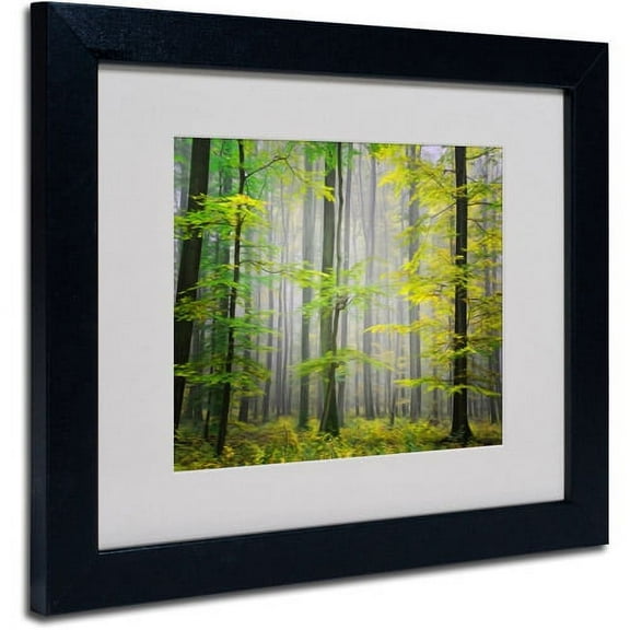 Trademark Fine Art "Sugar Low" Canvas Art by Philippe Sainte-Laudy, Black Frame