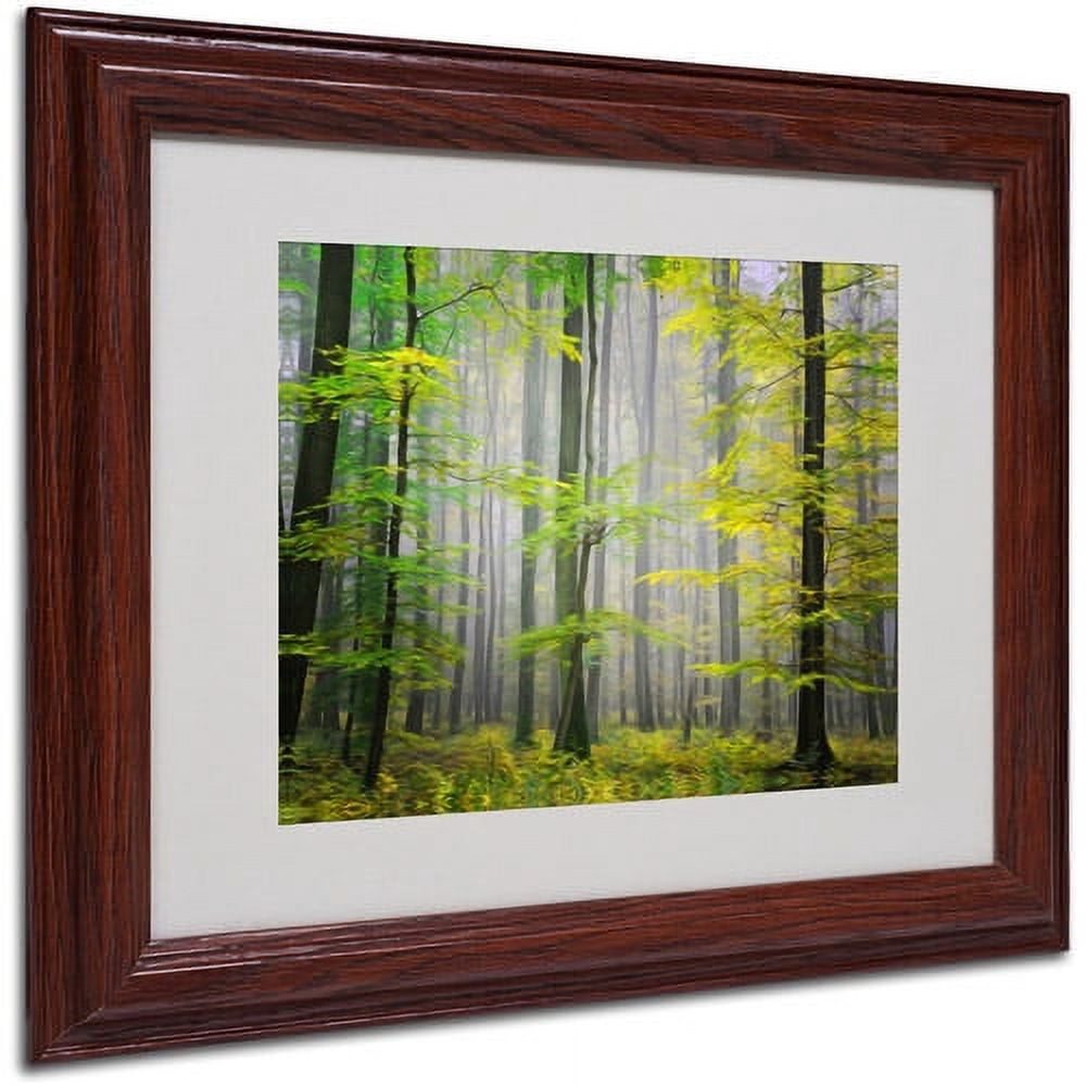 Trademark Fine Art "Sugar Low" Canvas Art by Philippe Sainte-Laudy, Wood Frame