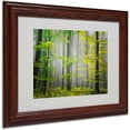 thumbnail image 1 of Trademark Fine Art "Sugar Low" Canvas Art by Philippe Sainte-Laudy, Wood Frame, 1 of 5