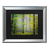 Trademark Fine Art 'Sugar Low' Canvas Art by Philippe Sainte-Laudy