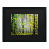 Trademark Fine Art 'Sugar Low' Canvas Art by Philippe Sainte-Laudy