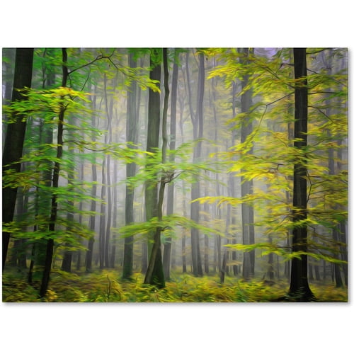 Trademark Fine Art "Sugar Low" Canvas Art by Philippe Sainte-Laudy