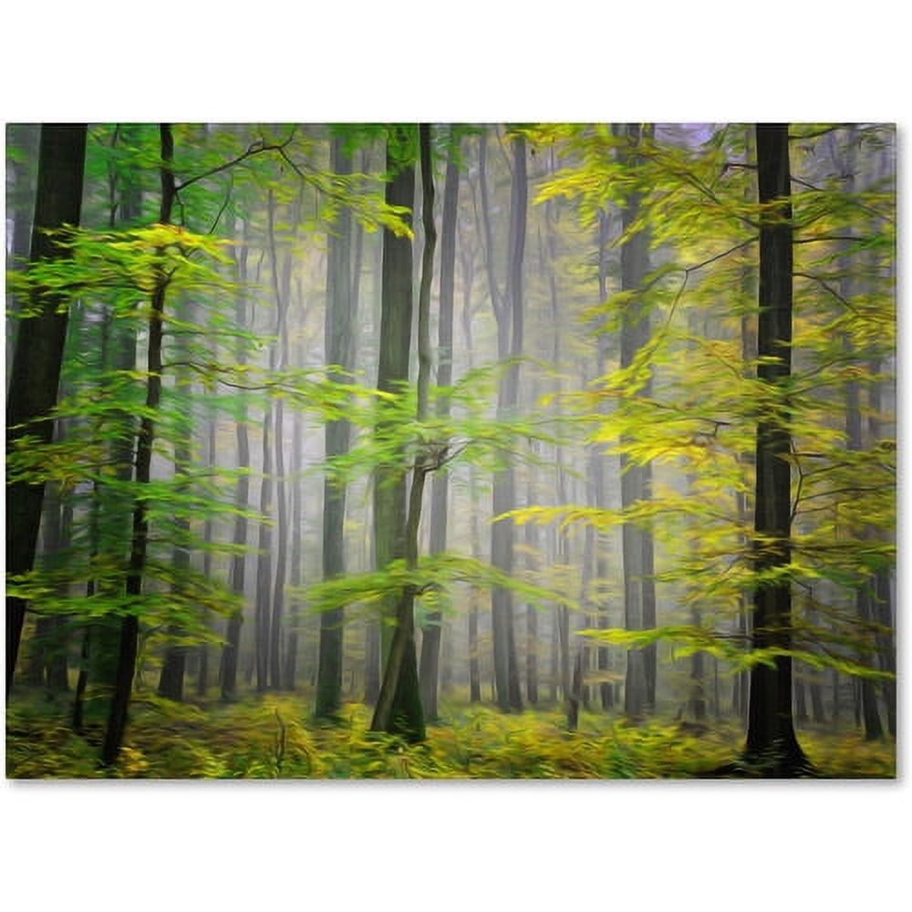 Trademark Fine Art "Sugar Low" Canvas Art by Philippe Sainte-Laudy