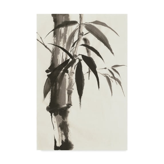 Trademark Fine Art 'Sumi Bamboo' Canvas Art by Chris Paschke