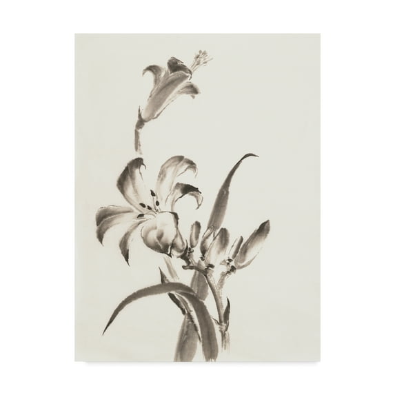 Trademark Fine Art 'Sumi Daylily II' Canvas Art by Chris Paschke